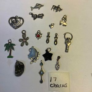 Lot of  17  Pendant / Charms
